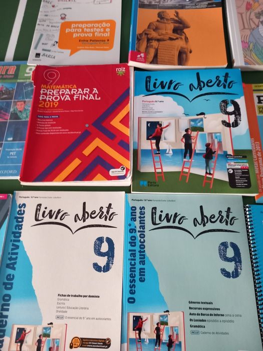 Livros de atividades 9° Ano