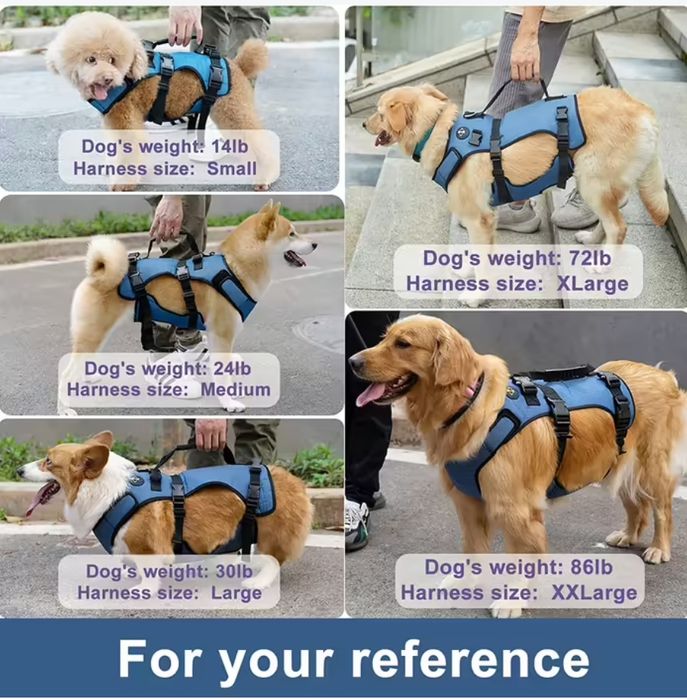 Підйомна упряж для собак coodeo s (вирішення вагомих проблем улюбленці