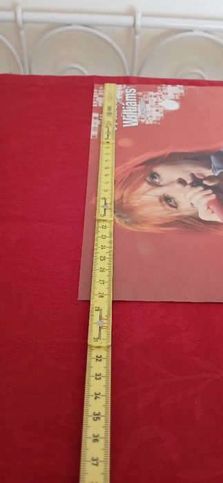 Poster Haley Williams-Paramore/David Guetta