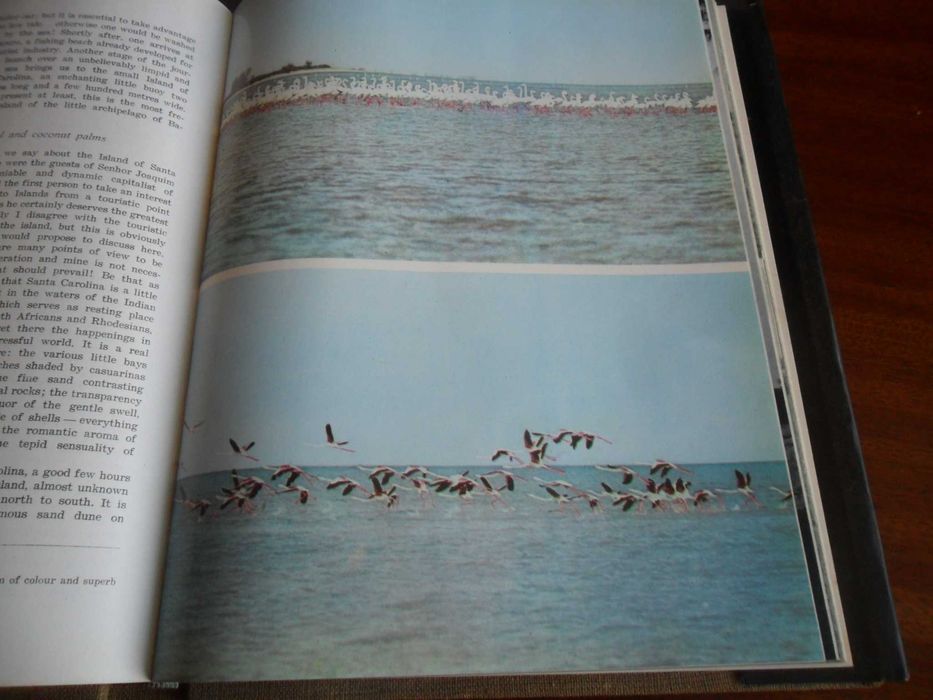 "Santuário Bravio- Wild Santuary" de José Maria d'Eça de Queiroz- 1964