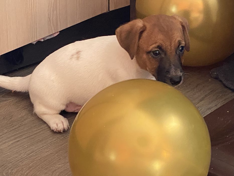 Найкращий подаруночок