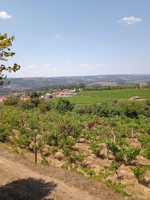 Vende-se quinta em Tibaldinho