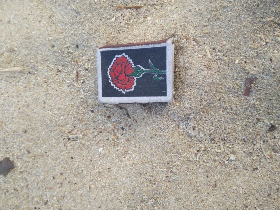 Опилка, тирса, мульча