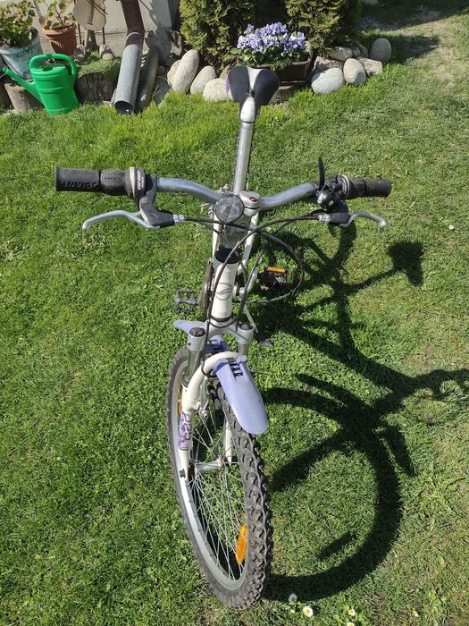 Giant taffy dla juniora.