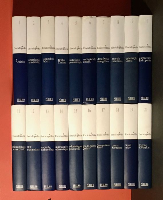 A ENCICLOPÉDIA - Público / Editorial Verbo - 20 vol. - M. B. Estado