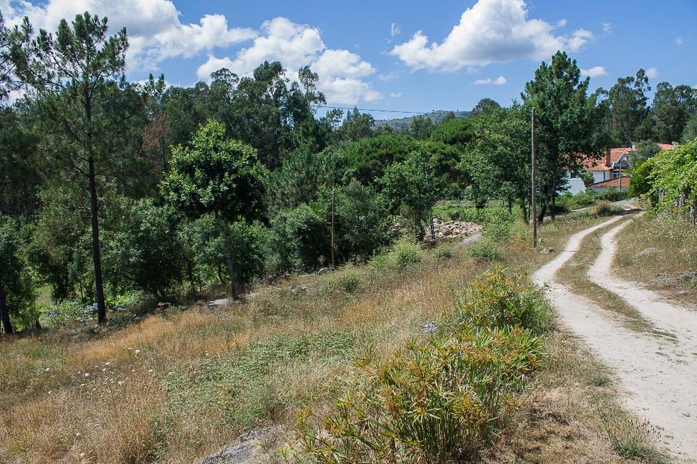 Terreno em Poiares,  
Ponte de Lima -