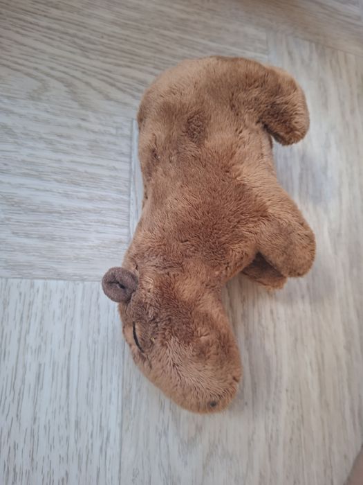 Pluszak kapibara maskotka