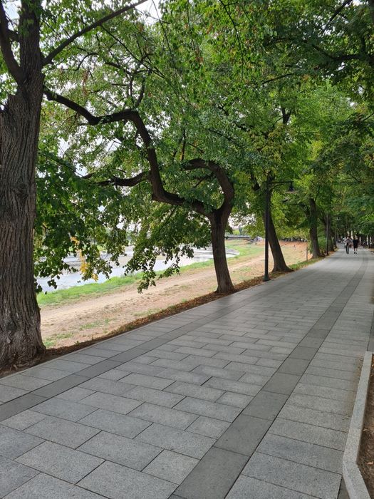 Дом по адресу Петефі Шандора пл. (площадь 128 м²) - Atlanta.ua - фото 3