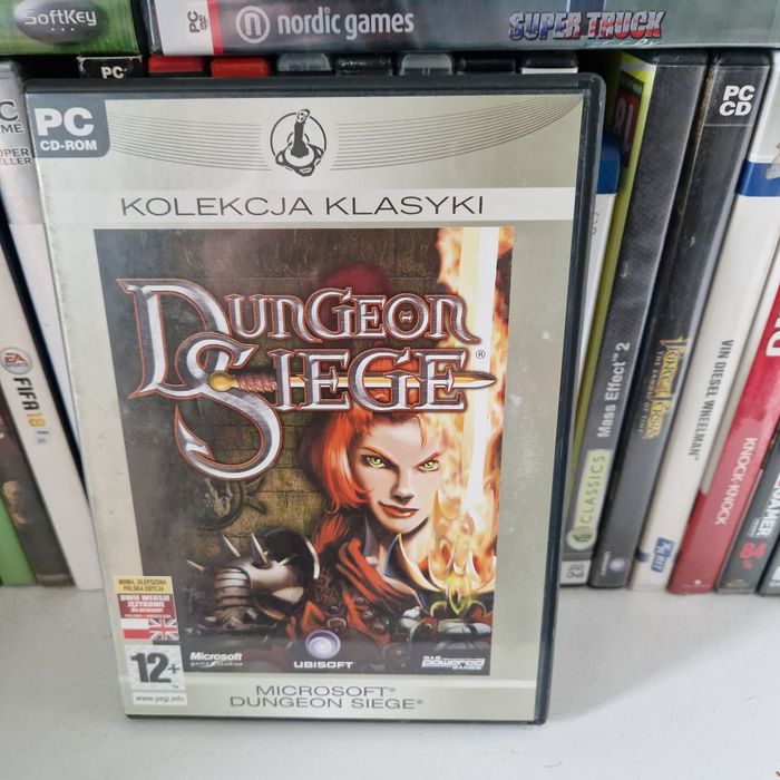 Dungeon siege pc