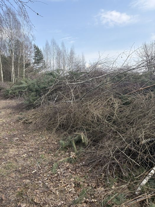 Gałęzie do oddania