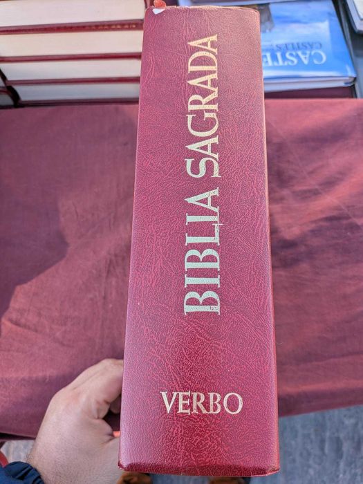 Bíblia Sagrada da Verbo Ilustrada