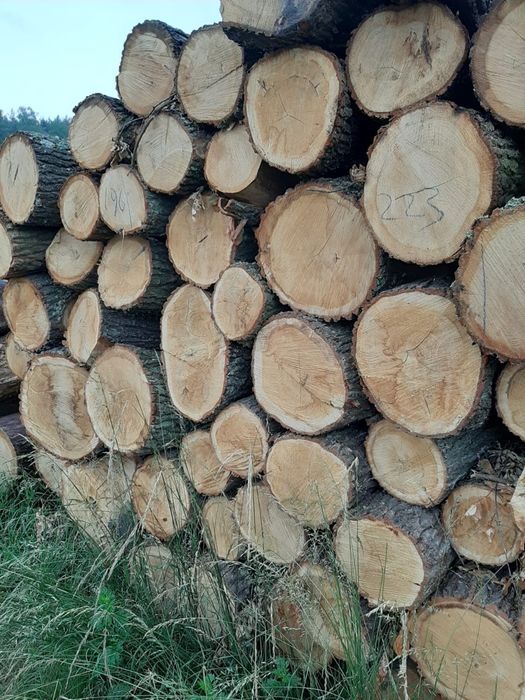 Drewno Drzewo opałowe kominkowe