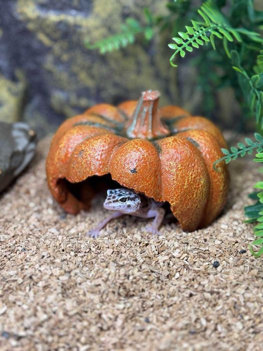 Укриття печерки для ящірок,змій,жабок,павуків і ін в тераріум/акваріум