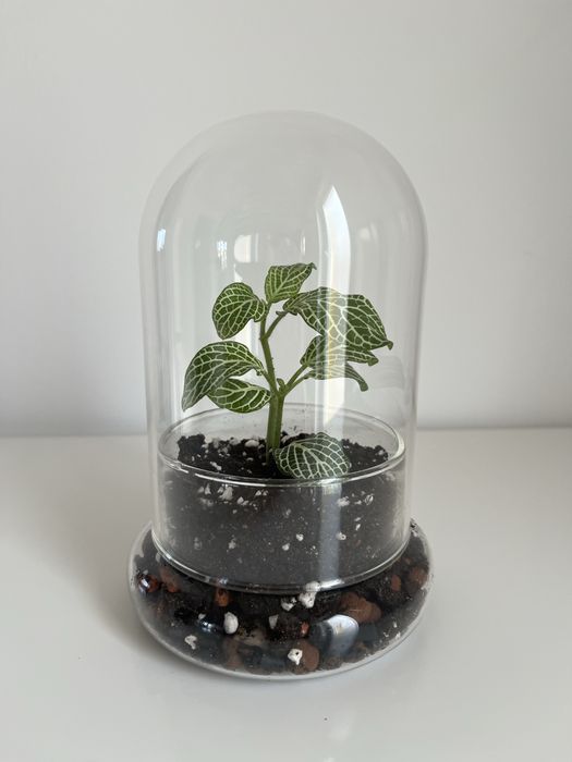 Terrário com materiais naturais e ecológicos