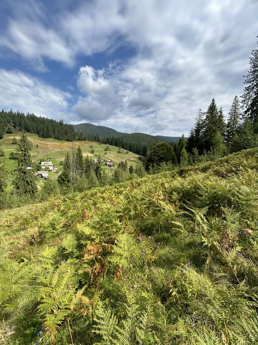 Продається 1.2 гектара з можливістю зміни цільового призначення
