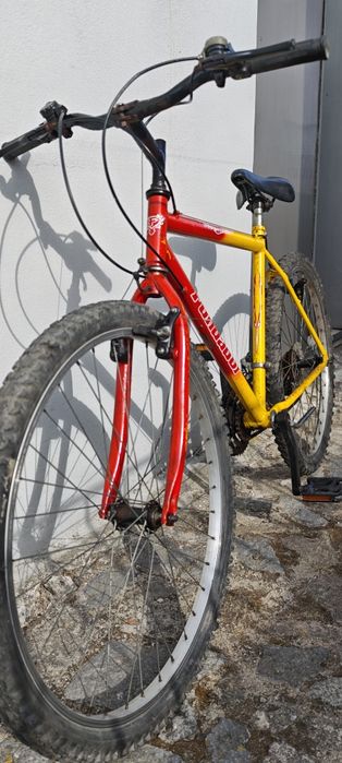 Bicicleta montanha