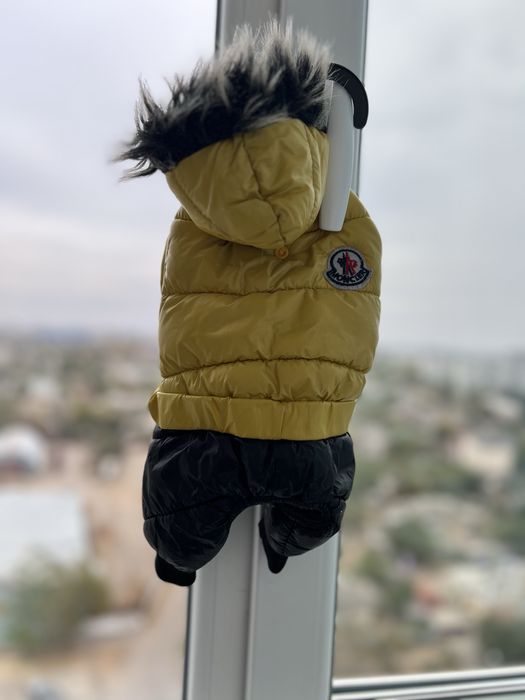 Теплый пуховый комбинезон для собаки.