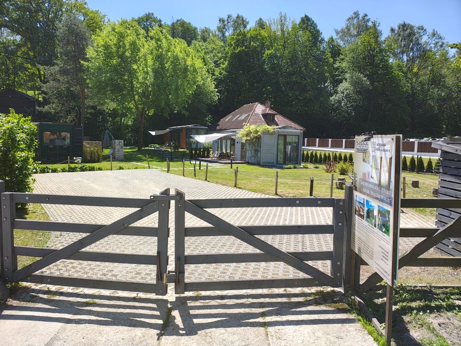 Usługi ogrodnicze i porządkowe kompleksowe
