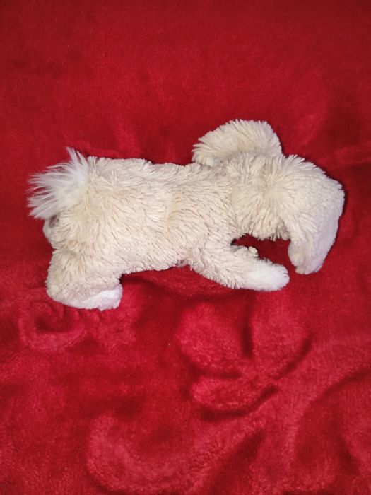 Maskotka Królik Jellycat