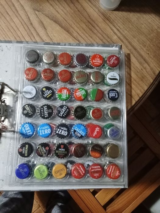 Lote de diversas sameiras