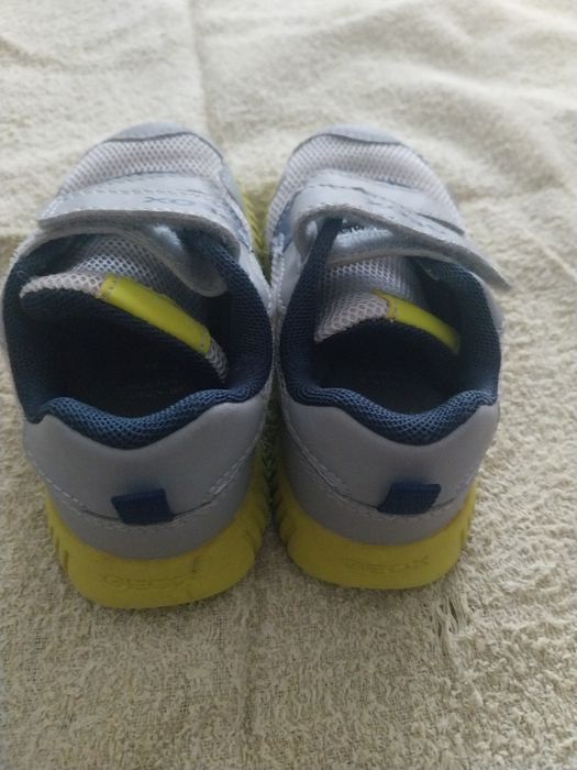 Tenis geox numero 23