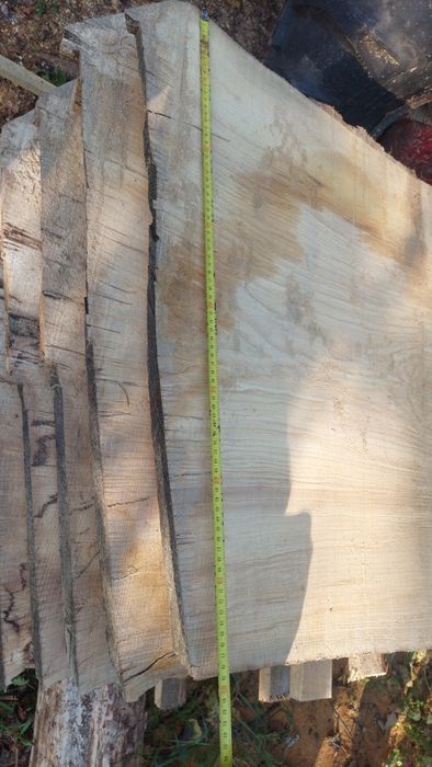 Monolit Monolity Jesion