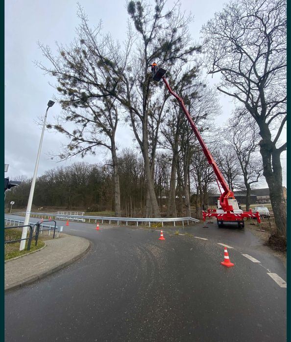 Зрізання дерев, послуги автовишки.