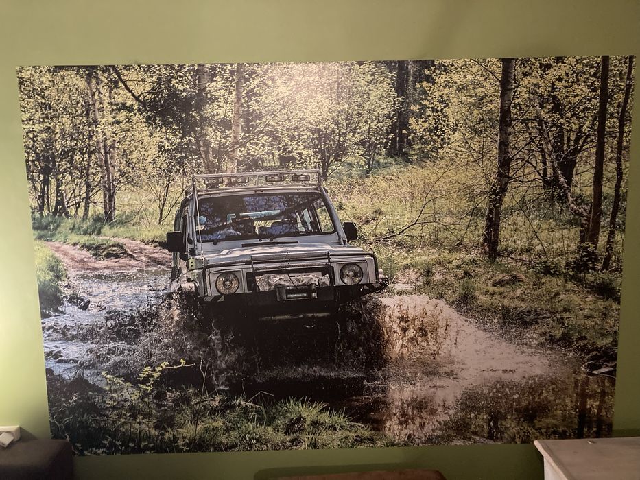 Fototapeta jeep w lesie