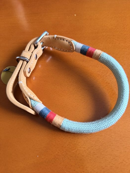 Coleira de cão nova