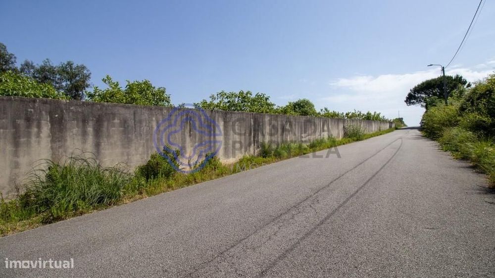 Quinta Rural com Potencial em Canedo, Santa Maria da Feira