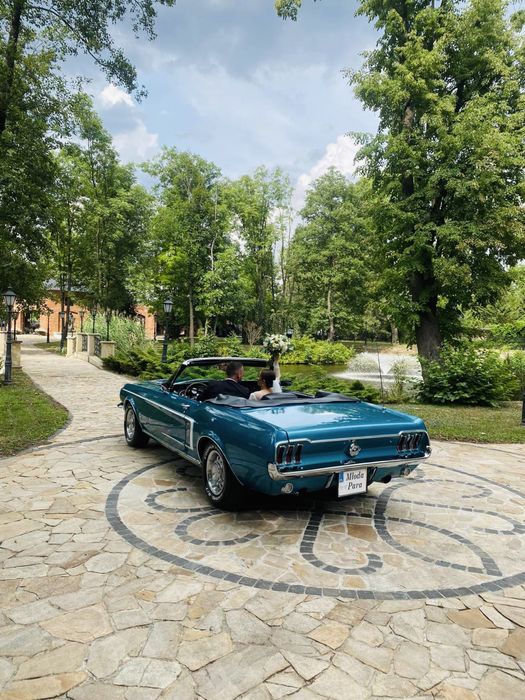 Auto do slubu MUSTANG 1967r. klasyk zabytek wynajem samochod cabrio