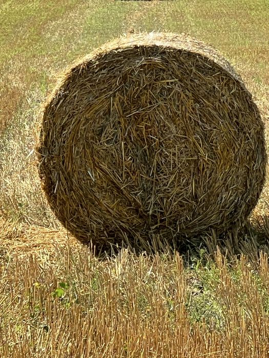 Продам солому в рулонах