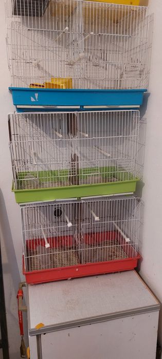 Gaiolas usadas - com separador