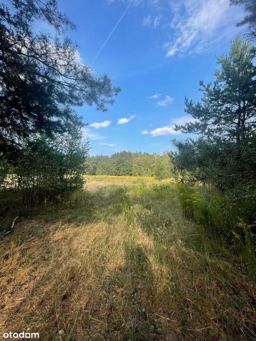 Bezpośrednio - sielska działka nad stawem koło lasu - 26km od Warszawy