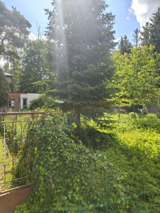 Działka budowlana Rąbień ab