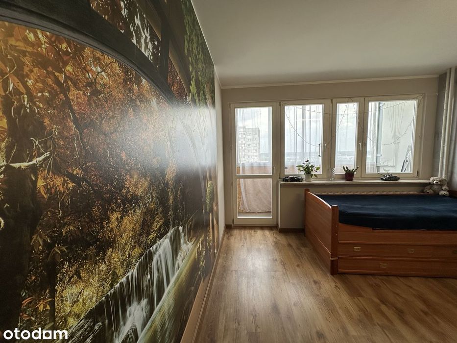 Zdjęcie 3