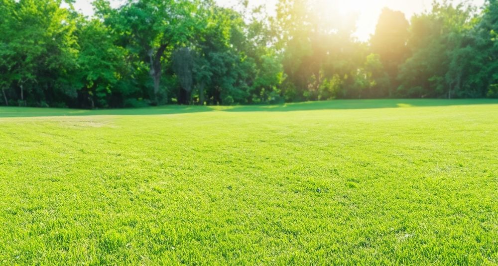 Okazja! Koszenie, Prace ładowaczem czołowym równanie terenu orka