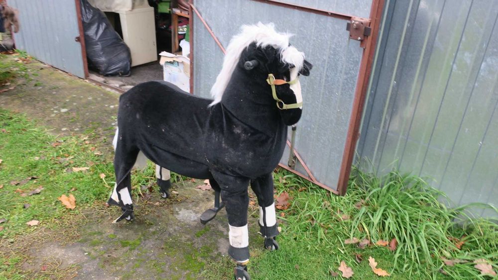 Duży koń na kółkach