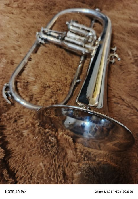 Fluegelhorn Venus