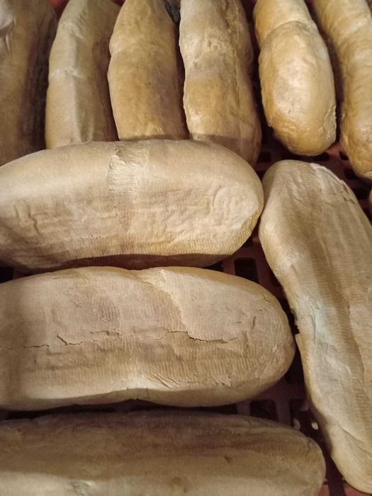 Хліб, сухарі для тварин