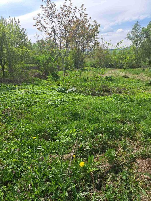 Продаж 22сотих під ,забудову ,будинок,с.Дмитровичі