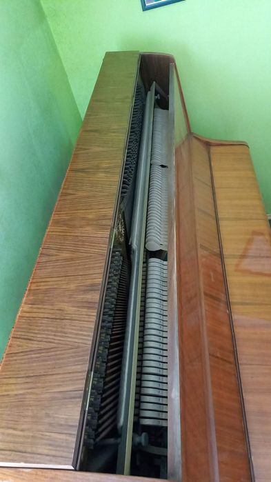 Zadbane Pianino Calisia