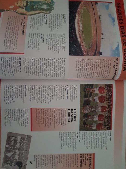 Livro SL Benfica Guinness World Records
