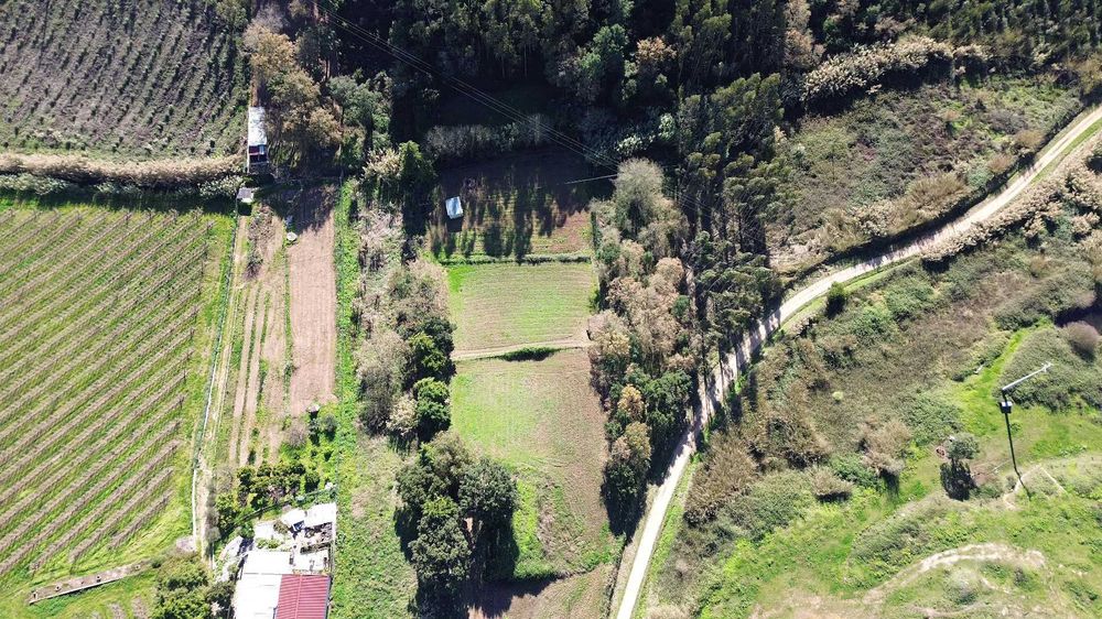 Aluguer Boxes para Cavalos