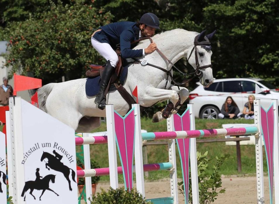 Serviços equestres/Equestrian services/Services équestres