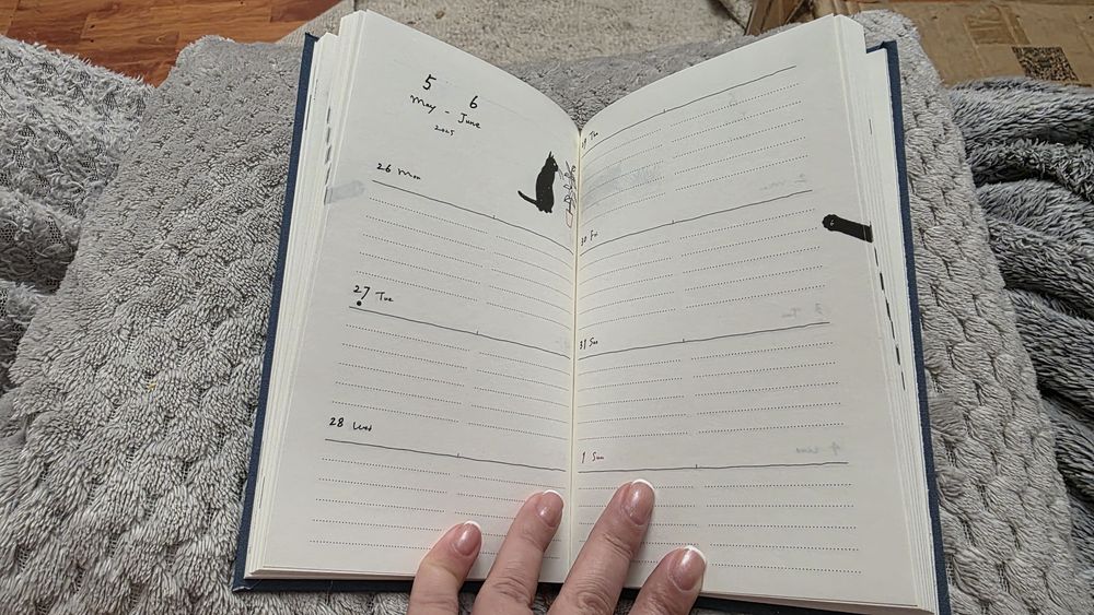 Котячі легендарні блокноти/планери з Аврори на 2026 рік