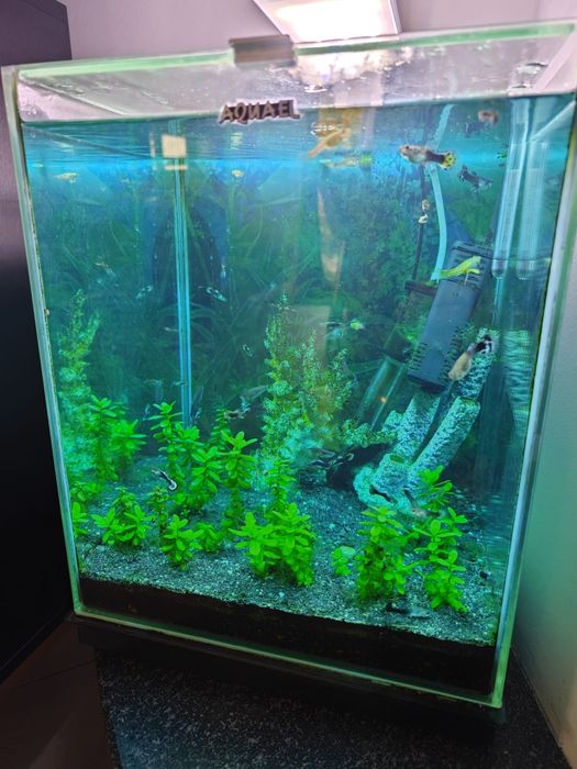 Akwarium 30 l kostka