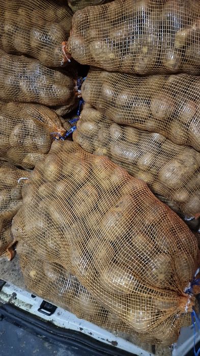 Batatas alhos cebolas