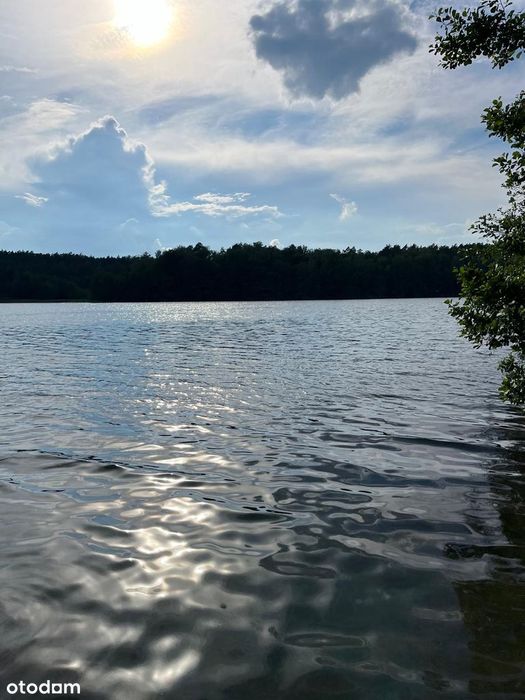Domek letniskowy 100 metrów od jeziora w otoczeniu lasu. Mazury - Więcej