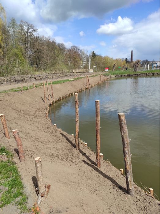 Faszynowanie zabespieczanie brzegów stawów jezior kopanie stawów